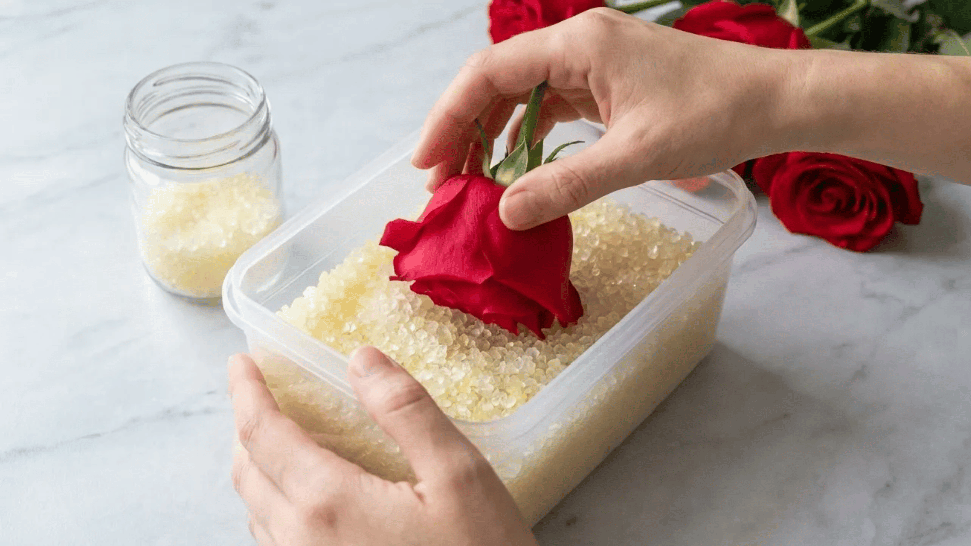 using silica gel for best methods to dry rose petals for preservation