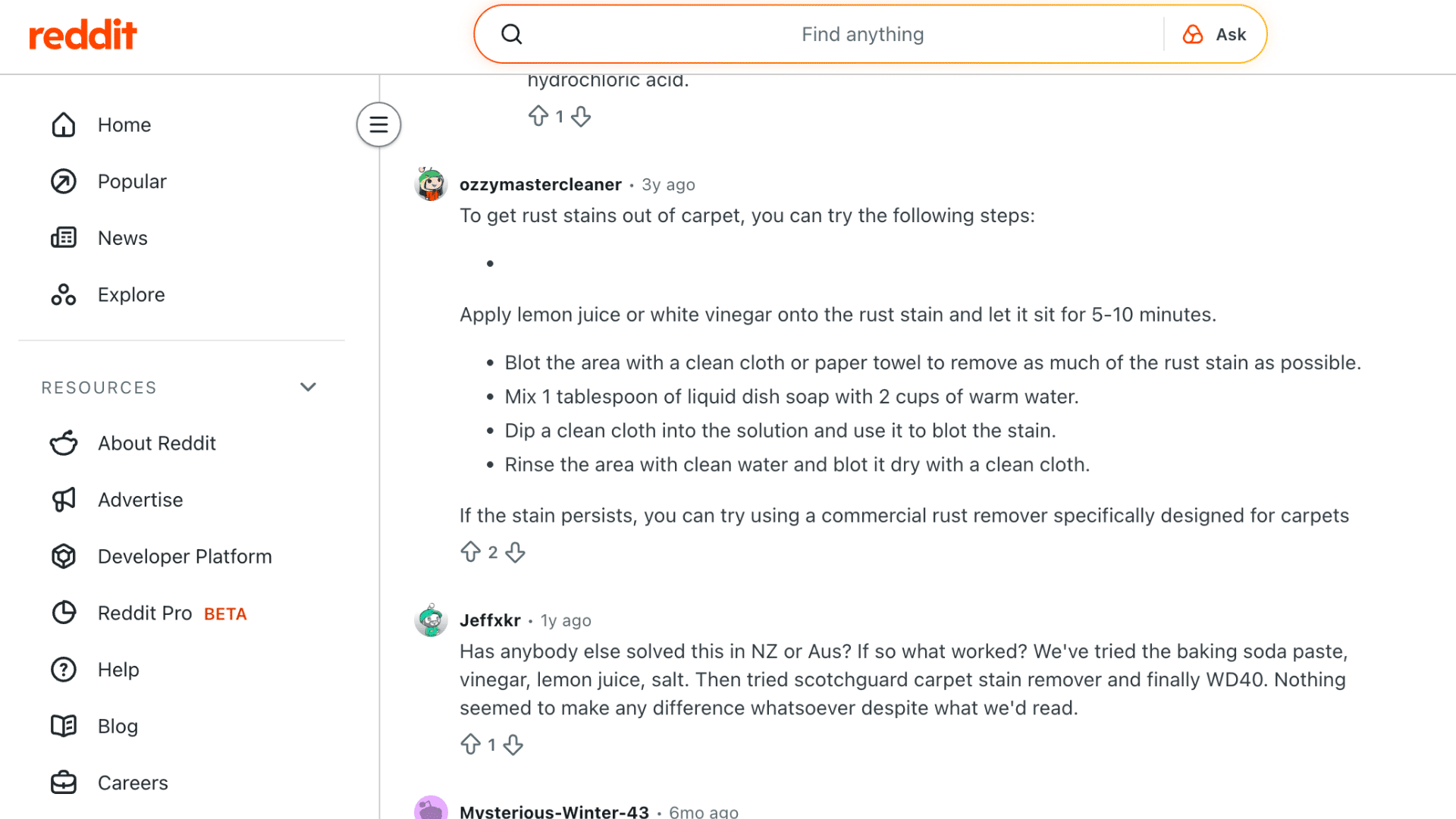 a screenshot of a reddit thread about carpet cleaning featuring advice on how to remove a rust stain