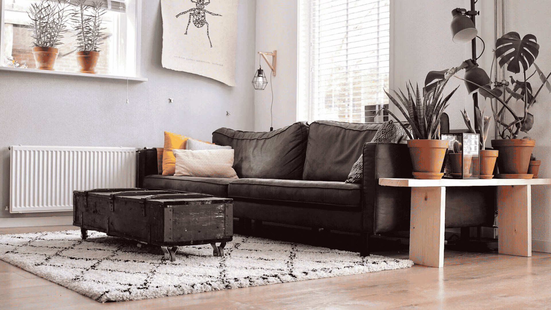 bright living room with black sofa indoor plants large windows and wooden flooring creating a cozy atmosphere