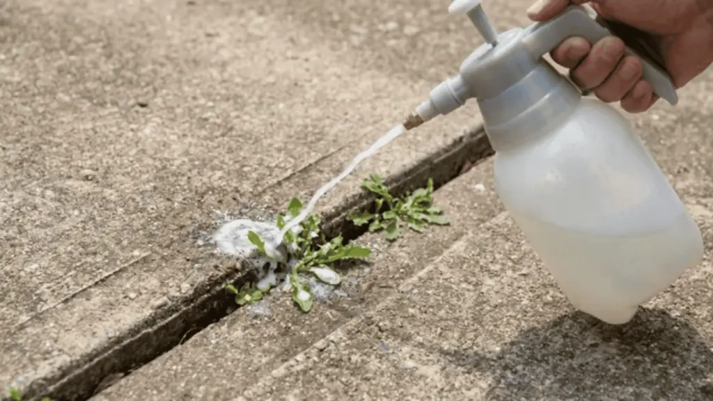 Pump sprayer spraying liquid onto weeds in a concrete crack