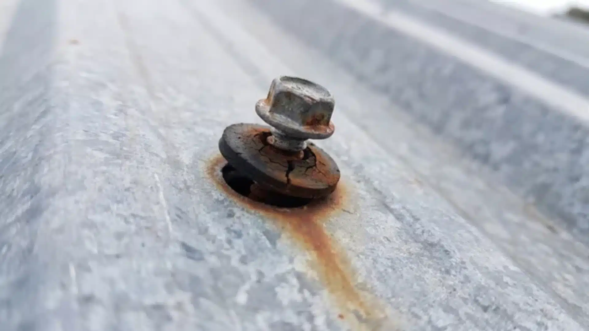 Close-up of a backed-out metal roof screw with a compressed and rusted rubber washer