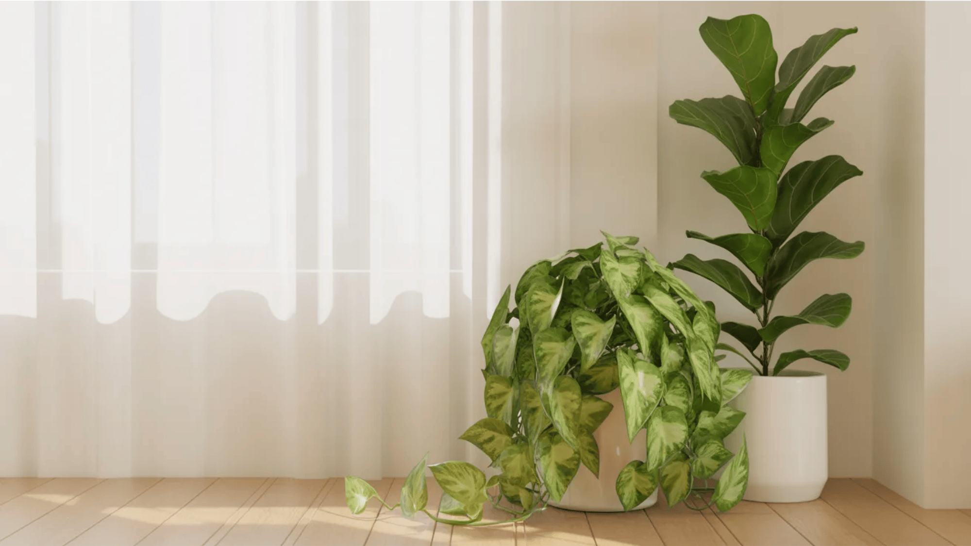 guest room ideas indoor green plants beside bright window bringing fresh natural decor and relaxing atmosphere to guest room