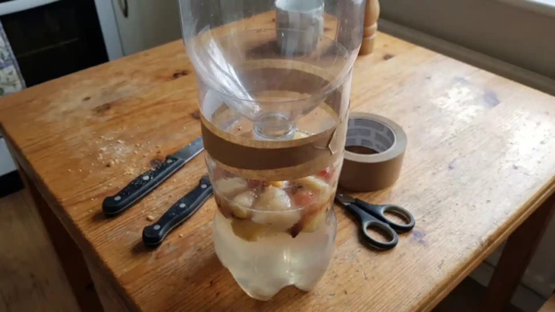 2-liter plastic bottle cut and inverted with bait and water inside, tape sealing the funnel seam