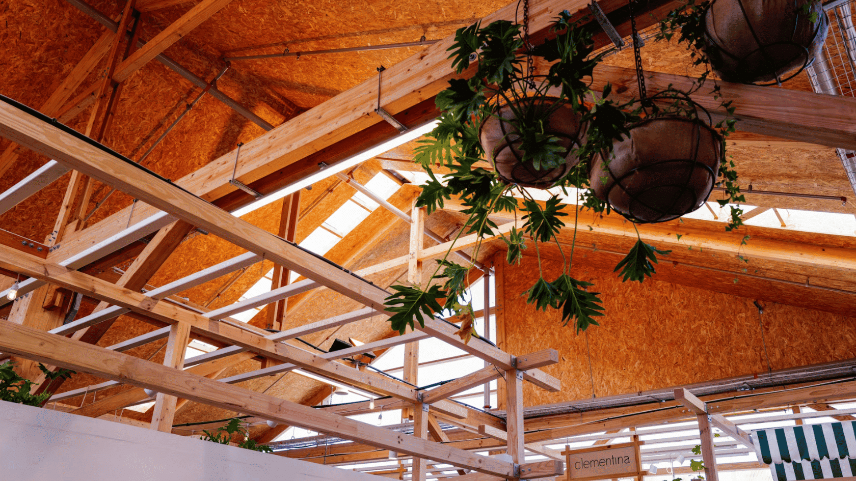 Rustic market interior with exposed timber beams hanging plants and warm natural wood ceiling design