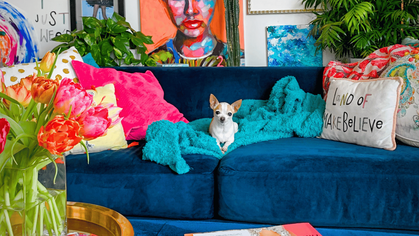 small dog resting on a blue sofa surrounded by colorful pillows flowers plants and vibrant wall artwork
