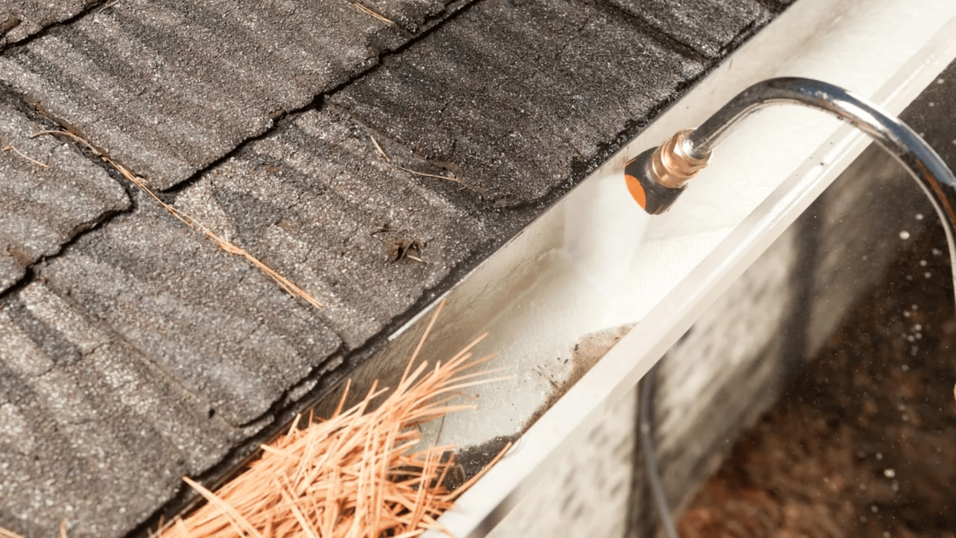 a pressure washing nozzle cleaning a house gutter beside an asphalt shingle roof with pine needles along the roof edge