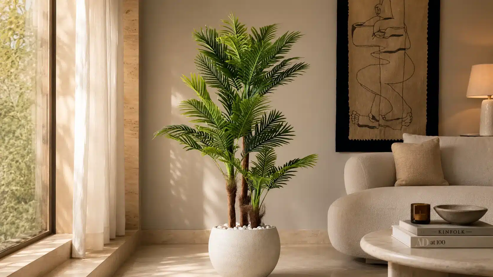 Areca palm with long arching fronds beside a sunlit window