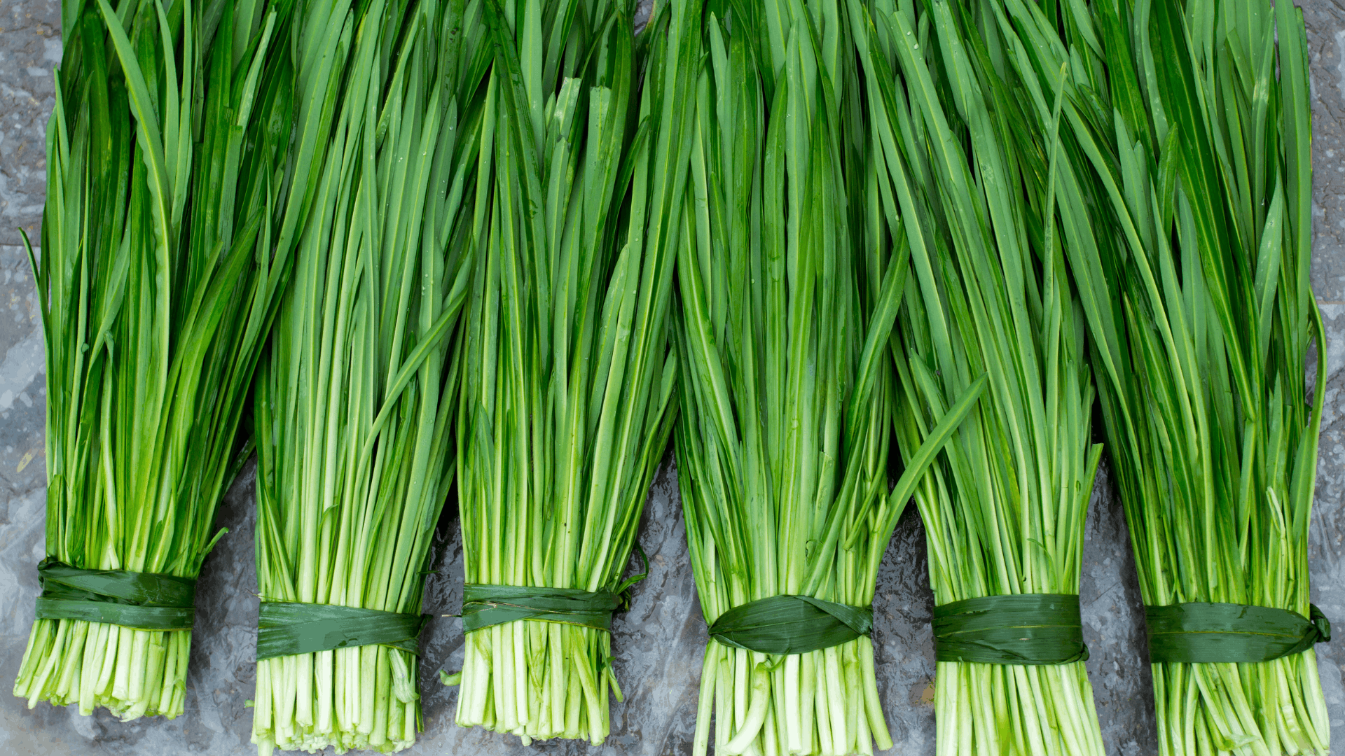 bundles of fresh green chives tied together showing a popular choice for eggplant companion plants in vegetable gardens