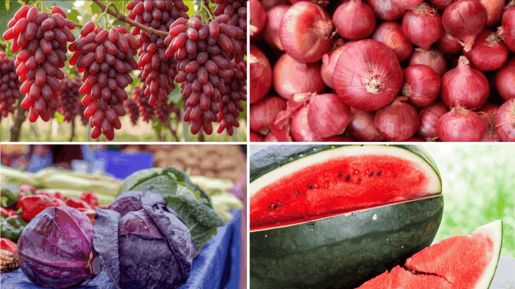 collage showing bunches of red grapes red onions purple cabbage and sliced watermelon displayed as fresh colorful produce harvest (1)