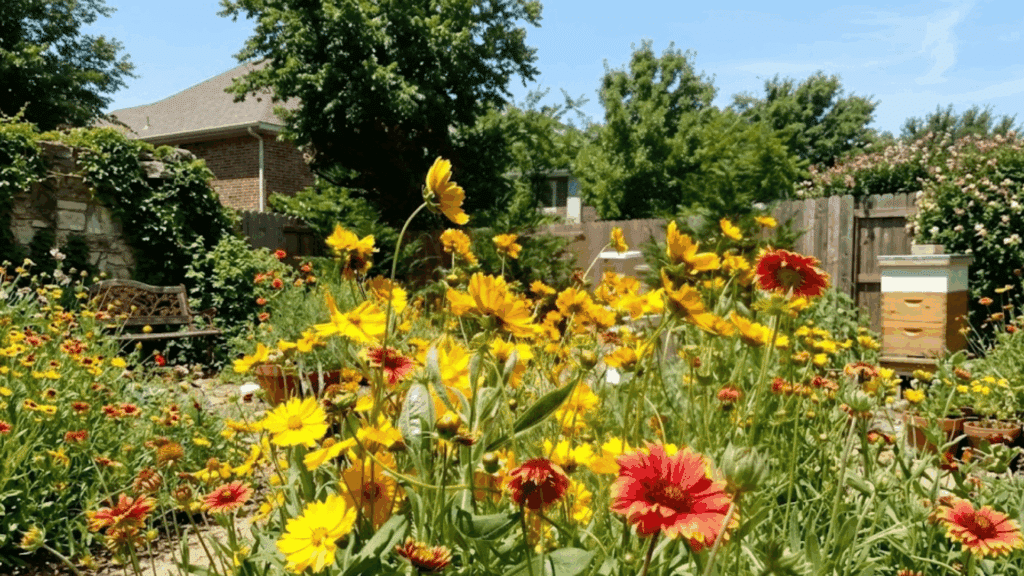 colorful wildflowers blooming in a sunny backyard garden with beehives trees and lush greenery creating a vibrant landscape