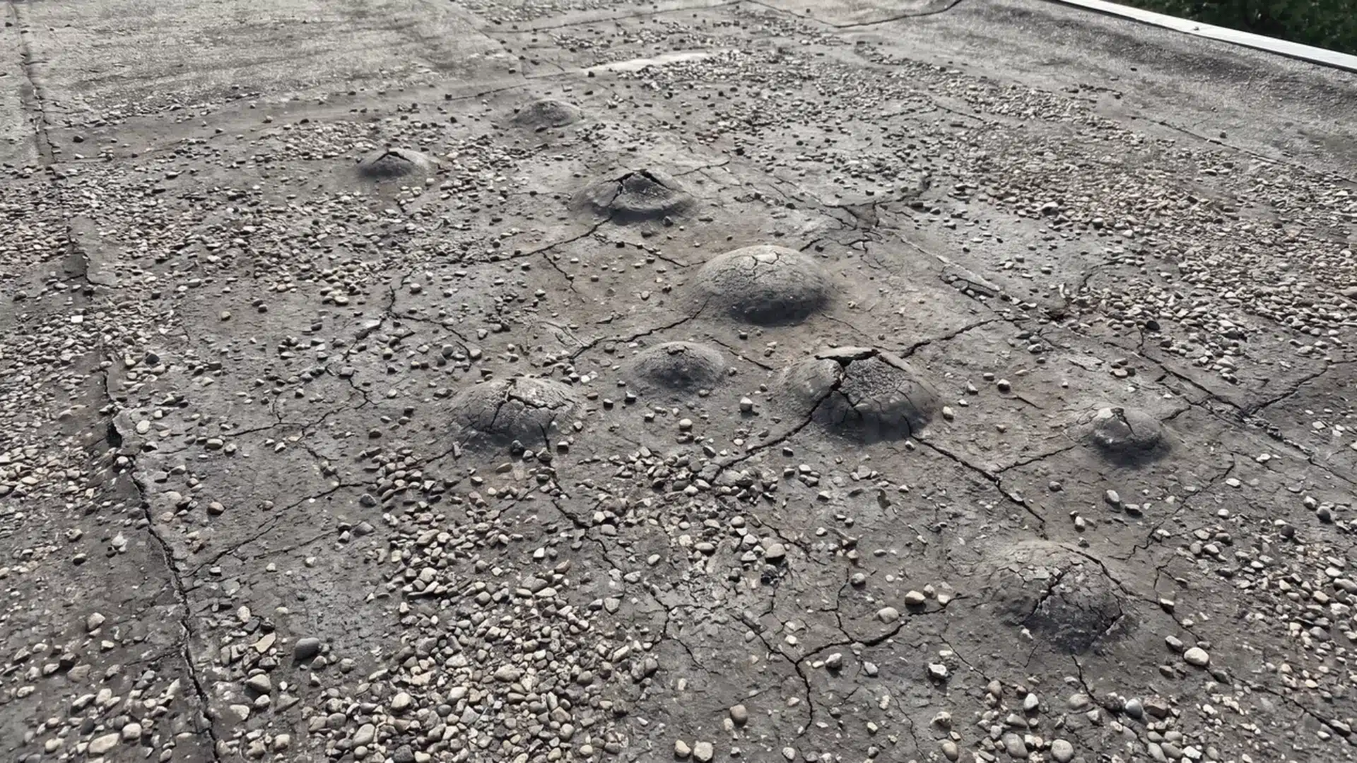 Tar and gravel roof surface showing cracks and raised blisters in the roofing layer
