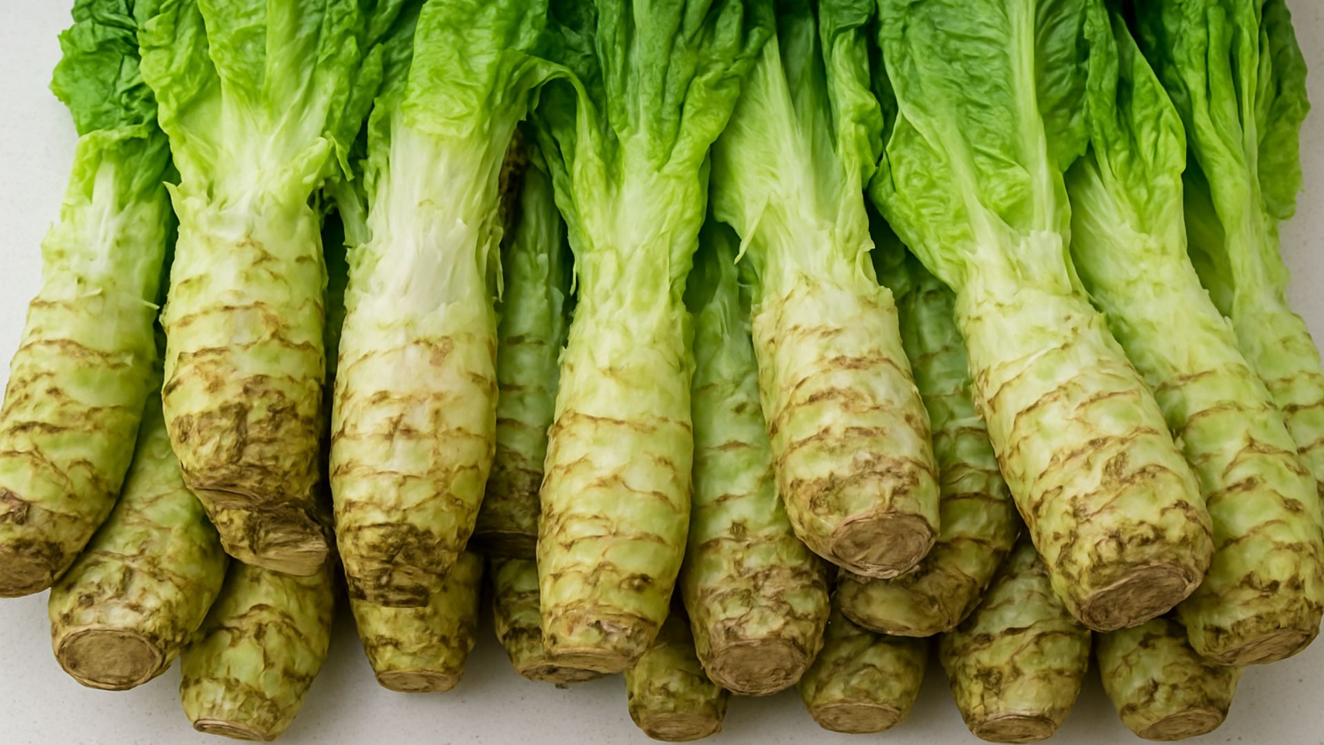 fresh celtuce with thick pale green edible stems and upright leafy tops stacked together showing crisp texture and trimmed bases