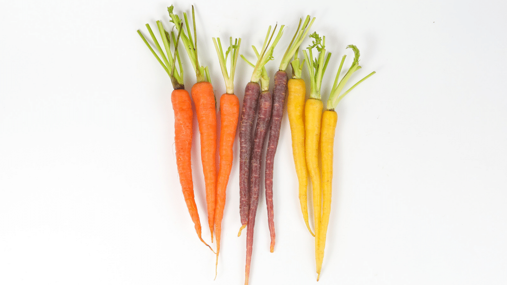 10 Best Carrot Companion Plants for a Healthier Garden fresh orange purple and yellow carrots with trimmed green tops arranged on a clean white background
