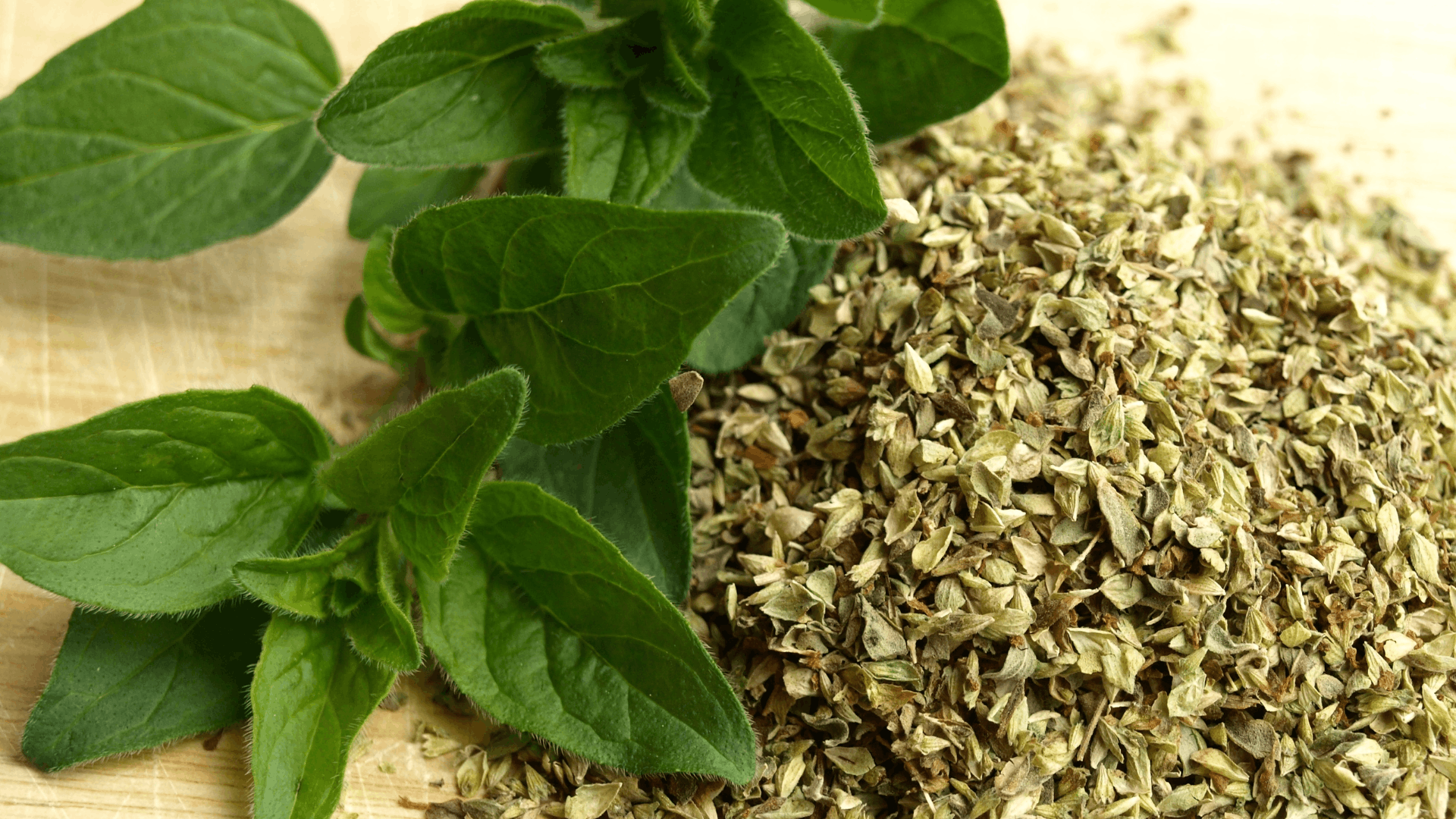 fresh oregano leaves beside a pile of dried oregano showing a useful herb for eggplant companion plants