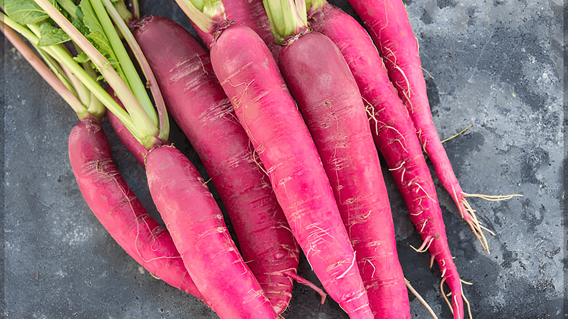 fresh pink radishes with leafy green tops arranged on a dark surface showing freshly harvested garden vegetables ready to use