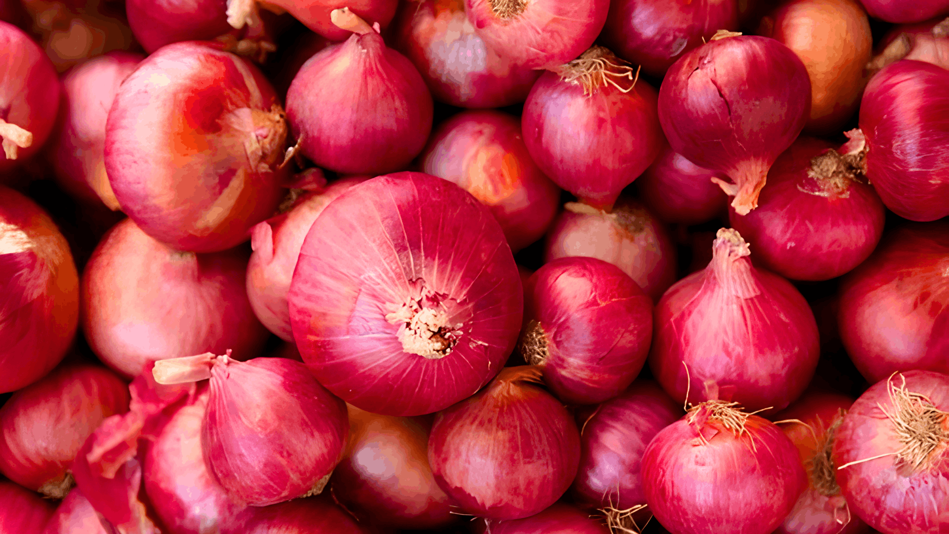 fresh red onions piled together with smooth shiny skins and dried roots creating a colorful harvest display at a local market