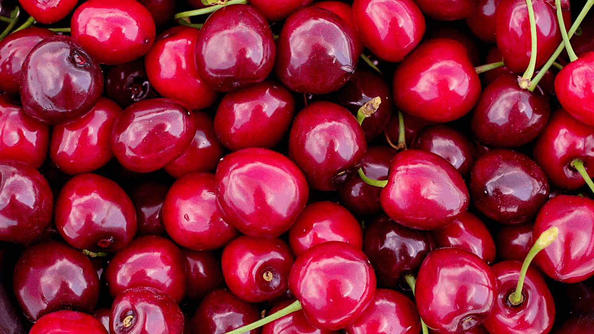 fresh ripe red cherries piled together with glossy skins and green stems creating a vibrant display of freshly harvested fruit
