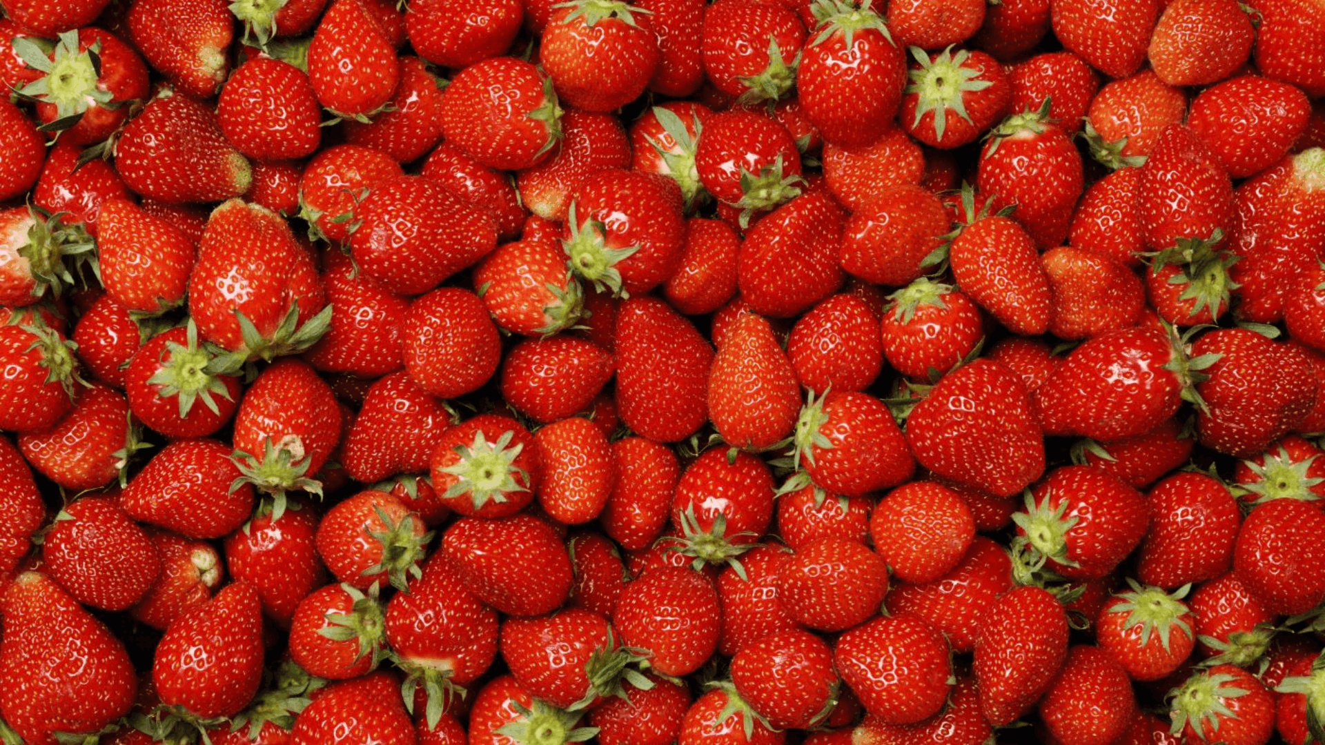 fresh ripe strawberries piled together with green leafy tops creating a vibrant display of juicy freshly harvested berries