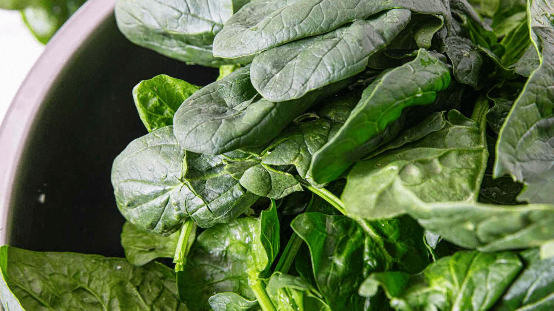 fresh spinach leaves piled in a bowl showing vibrant green color and crisp texture ready for cooking