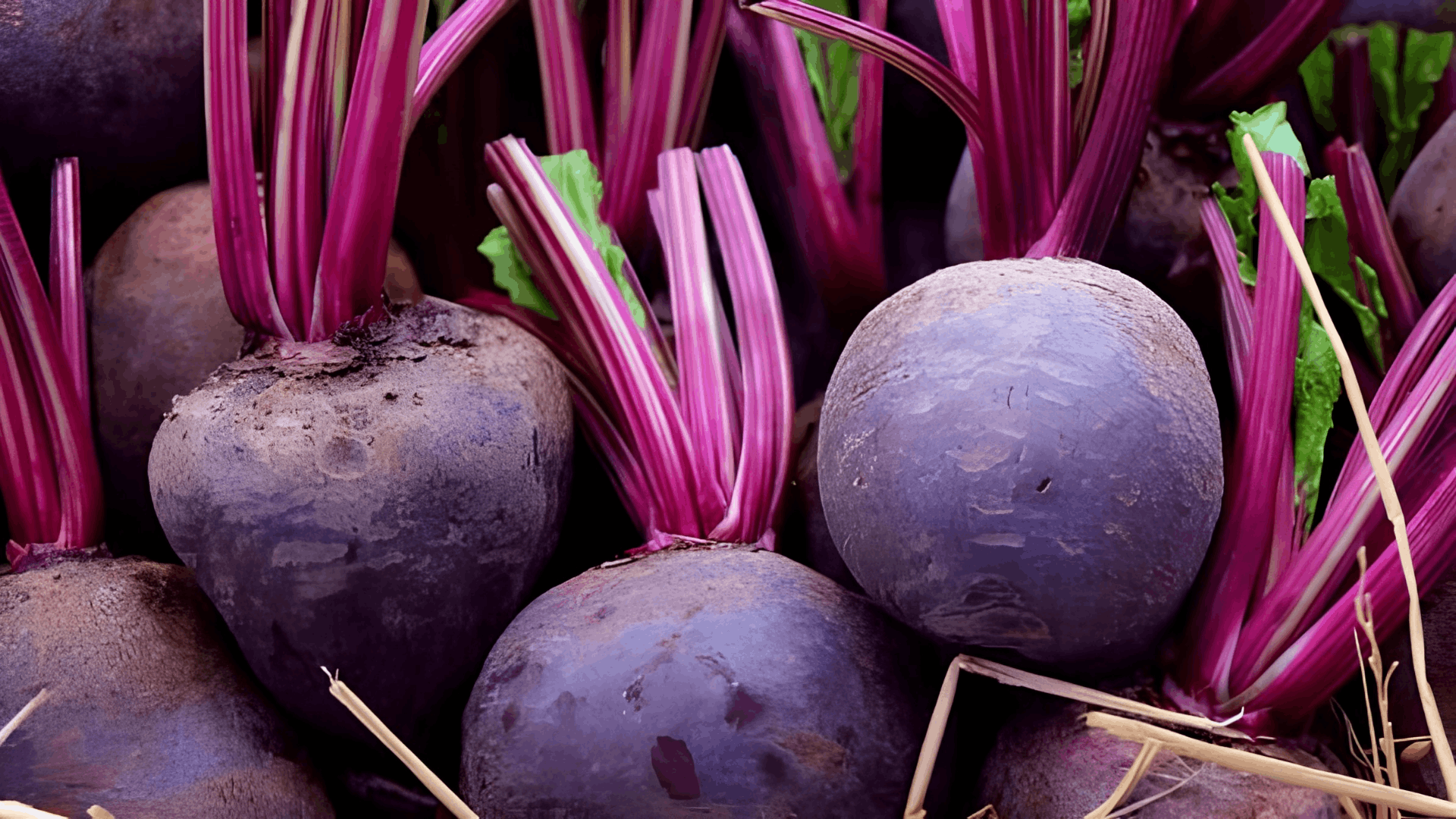 freshly harvested beets with deep purple roots and vibrant red stems stacked together showcasing earthy garden vegetables ready for harvest
