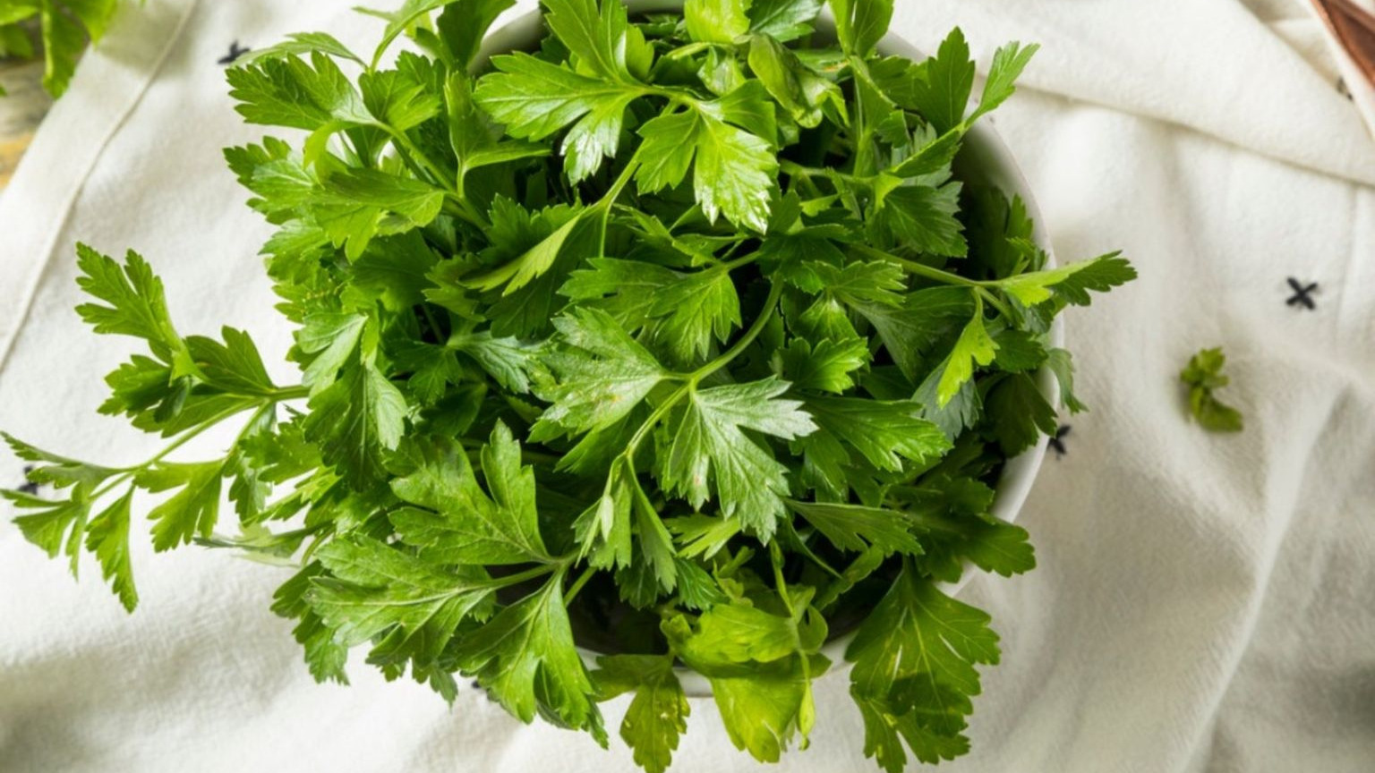 fresh parsley leaves in a white bowl with vibrant green foliage ready for cooking and garnish