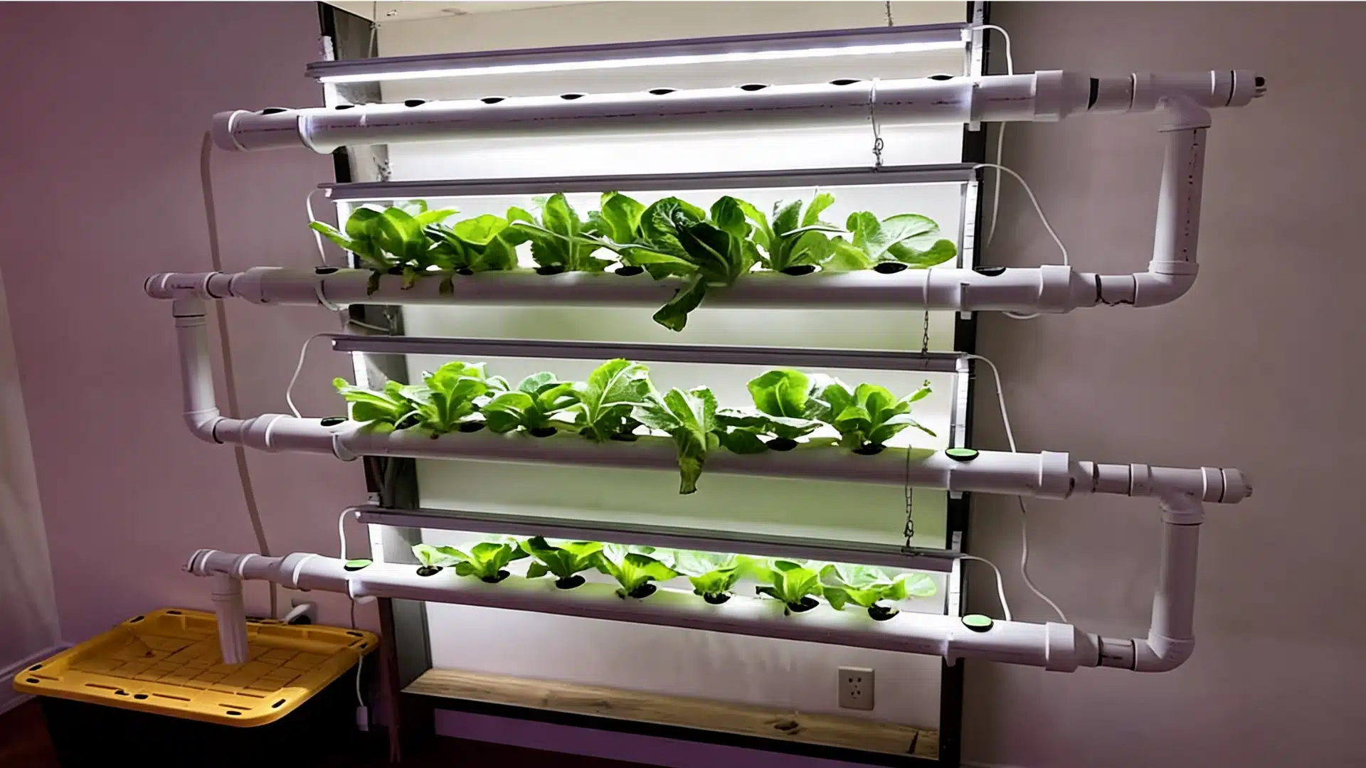 white pvc nft hydroponic system with multiple growing channels and lettuce plants under indoor grow lights