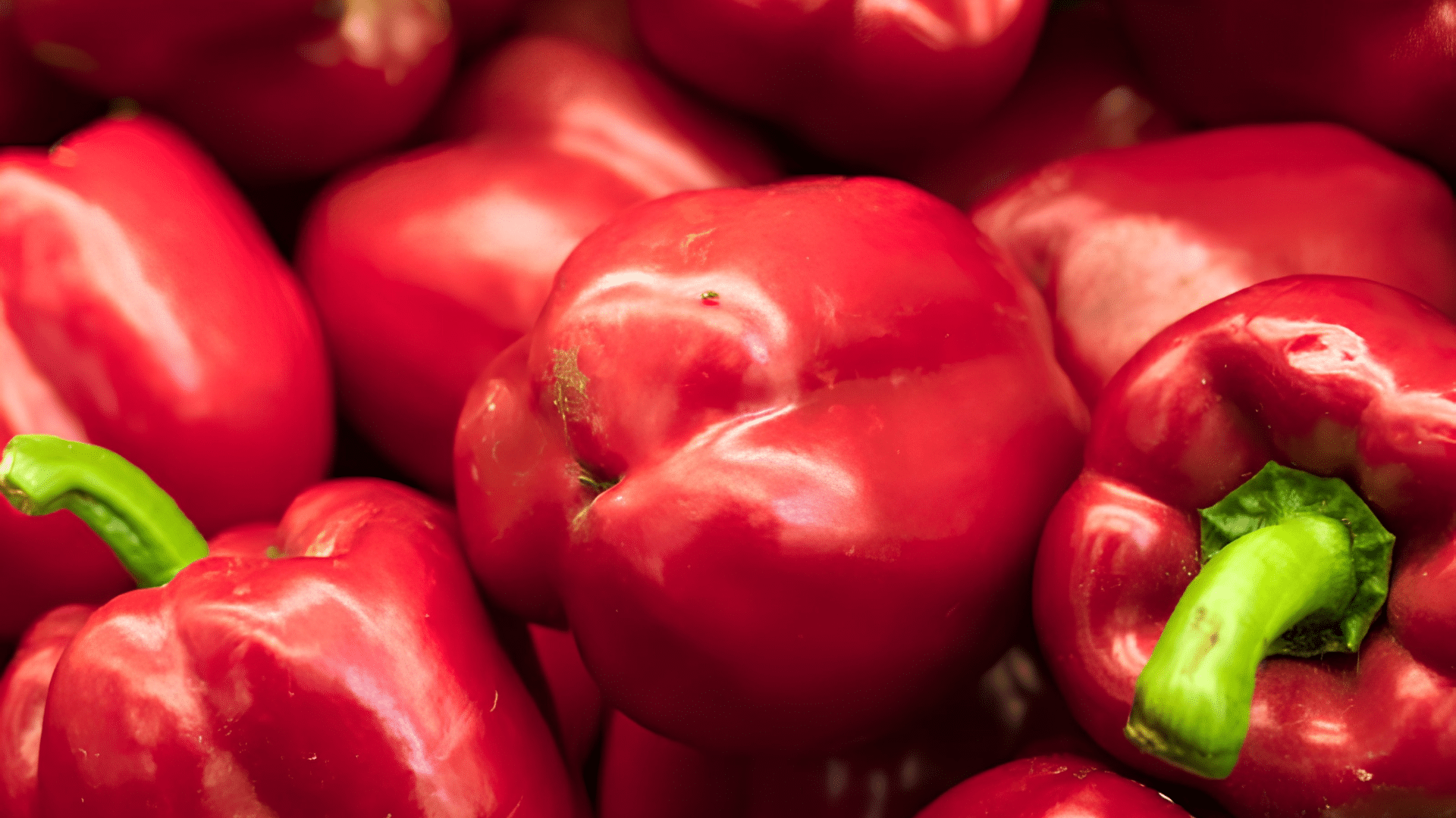 red bell peppers piled together with smooth glossy skins and fresh green stems displaying a colorful harvest ready for use