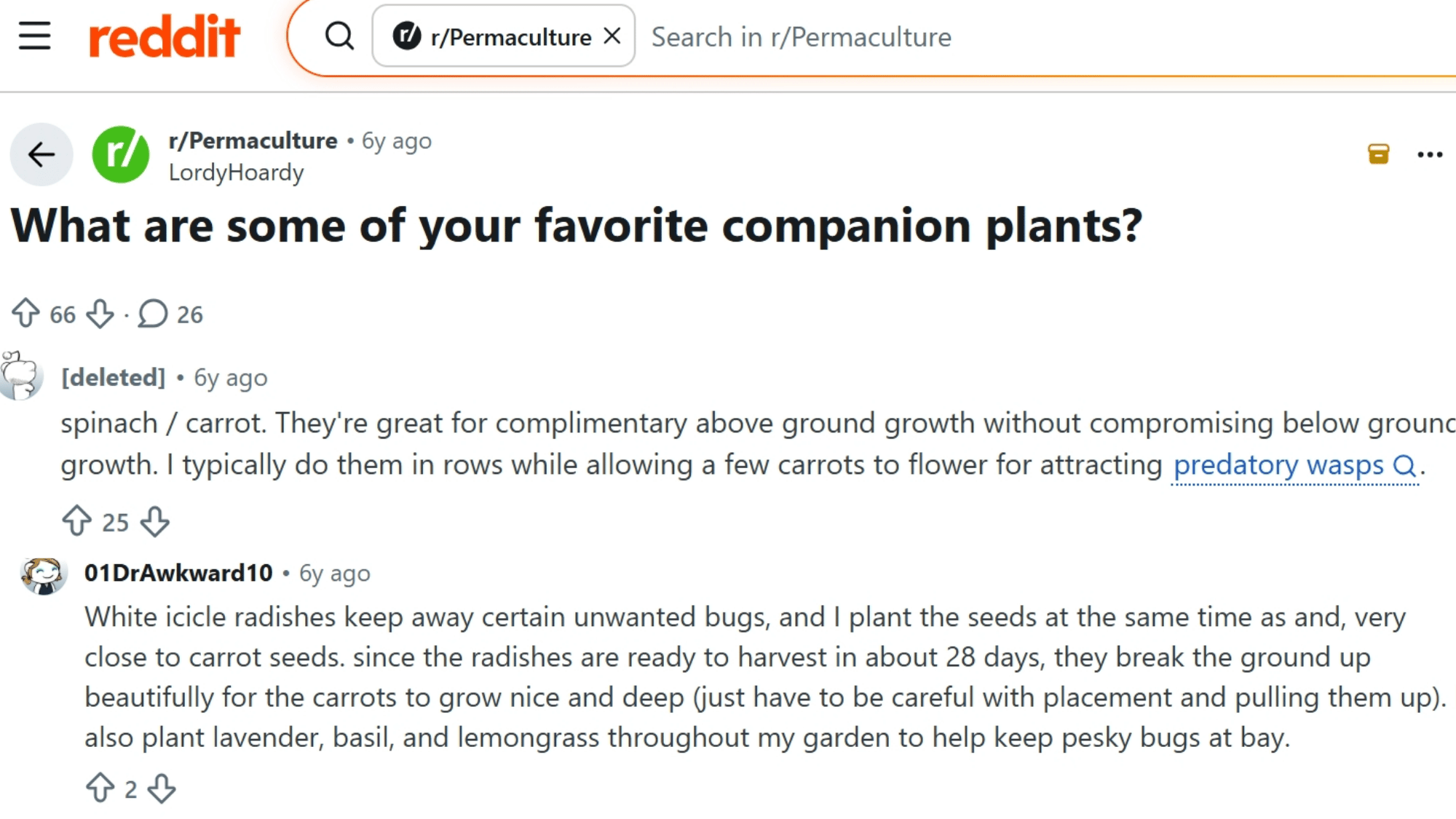 reddit post asking about favorite companion plants with comments discussing spinach carrots radishes and garden herbs