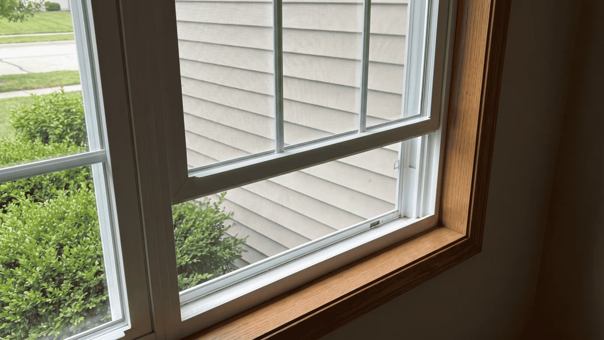 Single-hung window showing a fixed upper sash and raised lower sash