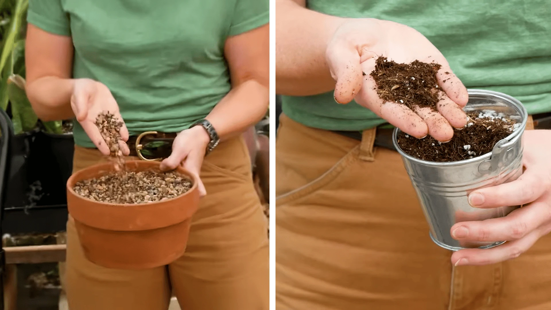 Different succulent soils affecting drying time between waterings