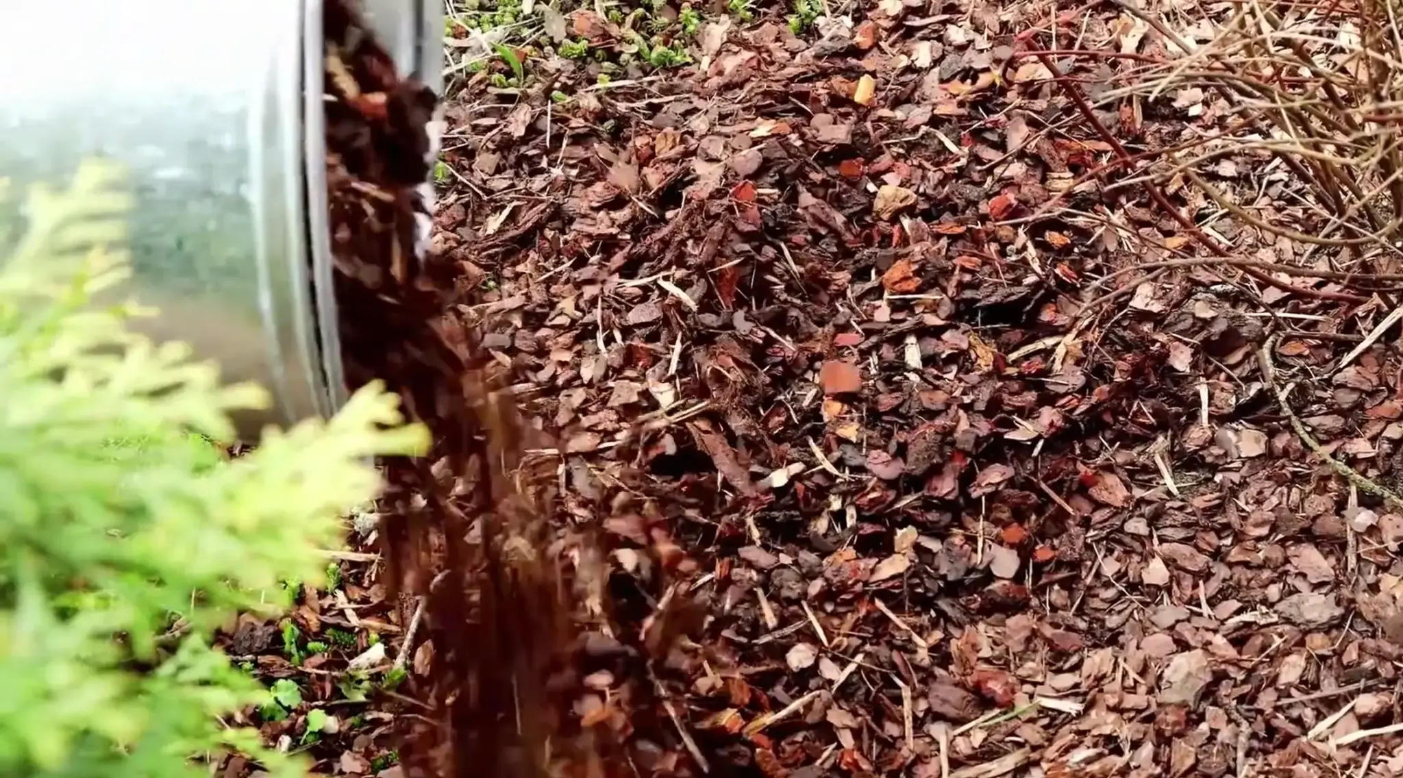 Bark mulch being spread across the soil around garden plants.