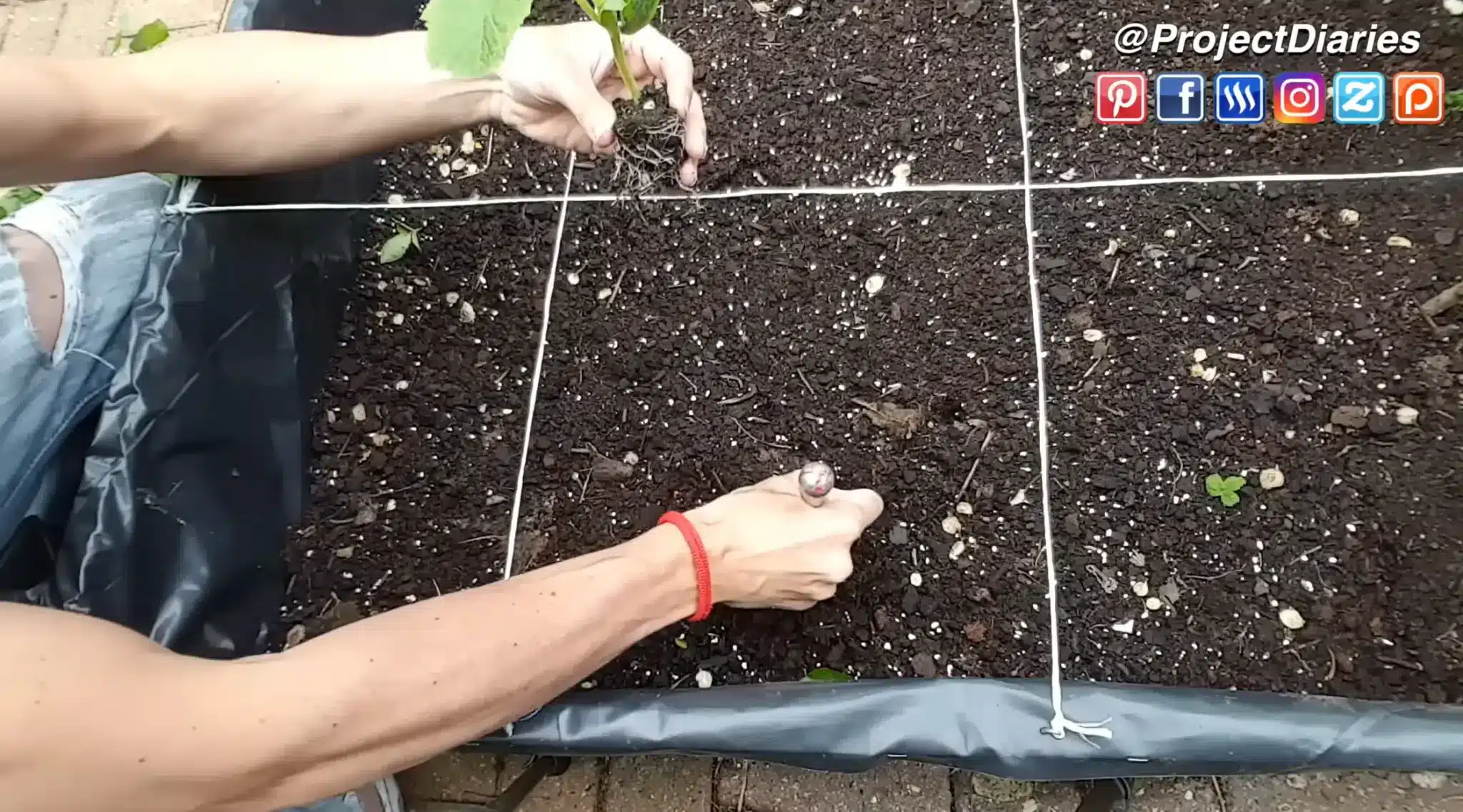 Gardener preparing a planting hole for a seedling in a string-divided square-foot garden bed.