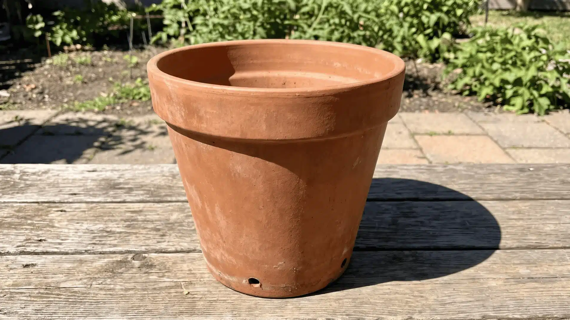 Empty tomato pot positioned outdoors in direct sunlight and ready for planting