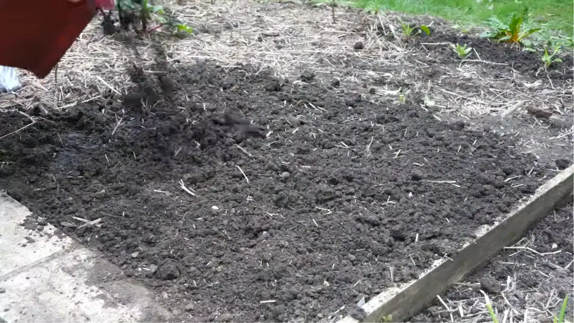 Freshly prepared garden bed with loose dark soil being tilled and leveled for planting.