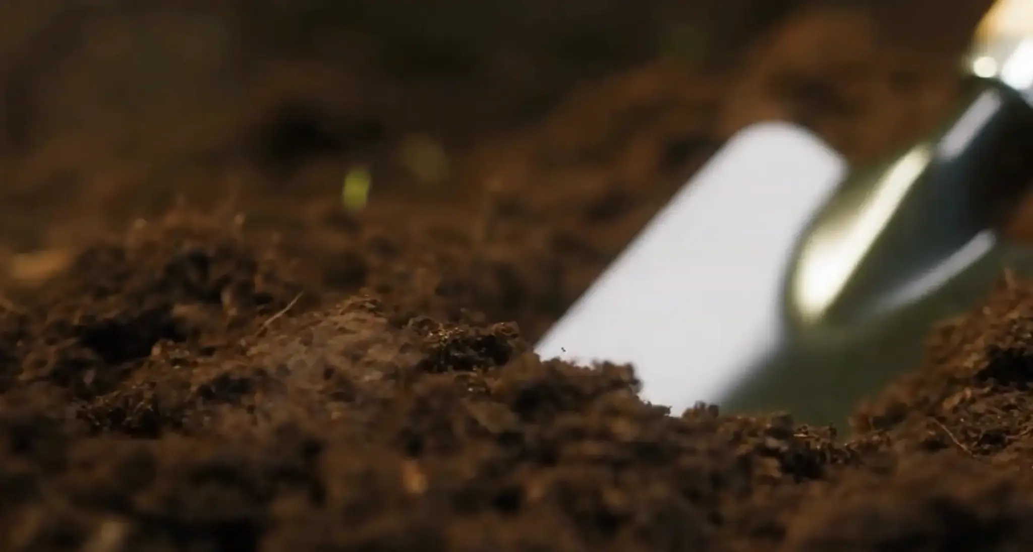 Garden trowel resting in loose brown potting soil.