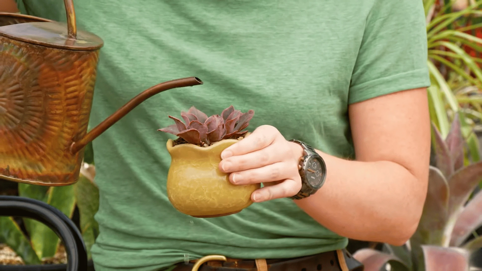 Excess water draining from a succulent pot after soaking