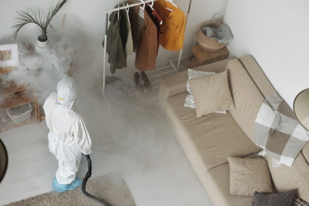 Pest Control Mistakes That Cost Homeowners More Than Professional Treatment Pest Control Professional Treatment