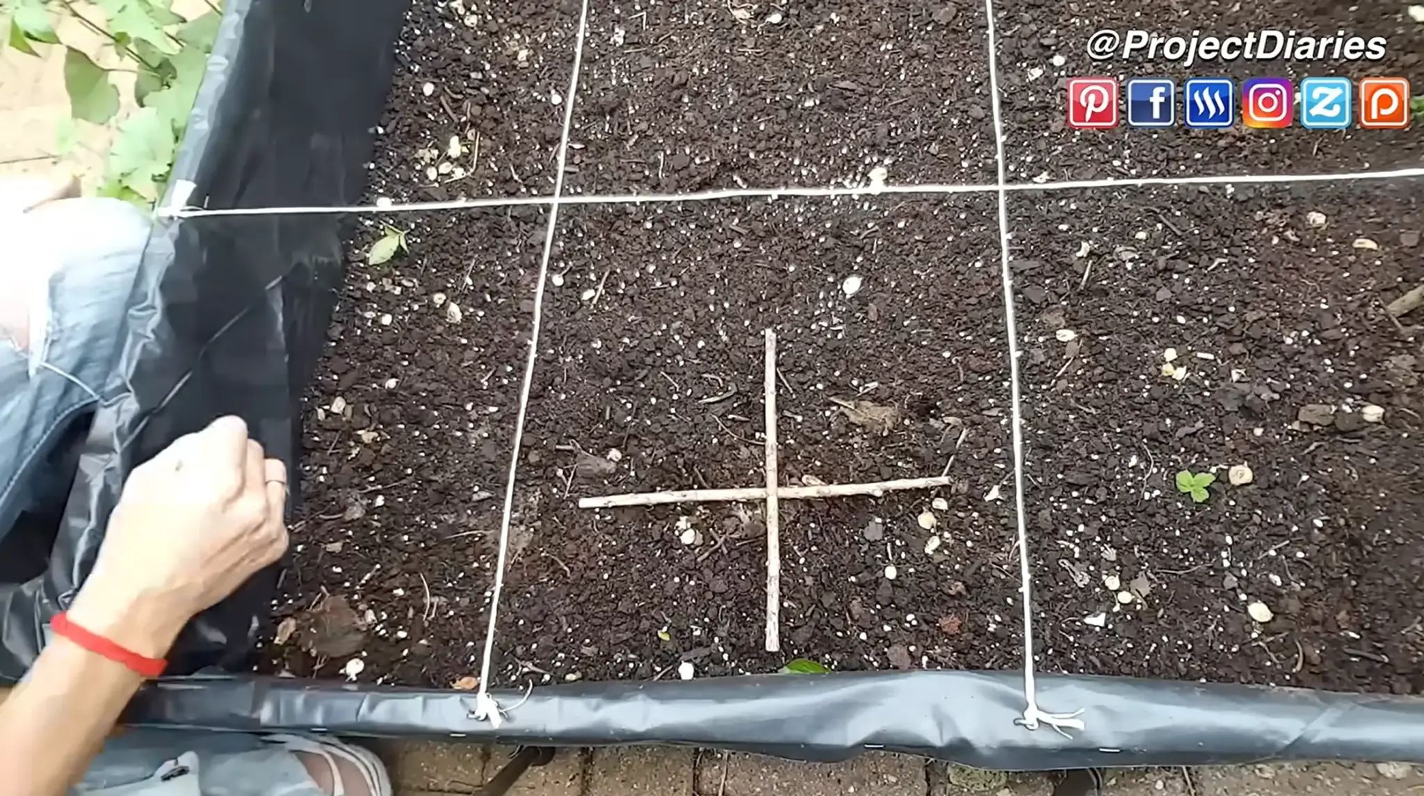 Raised garden bed divided into square planting sections using string and wooden sticks.