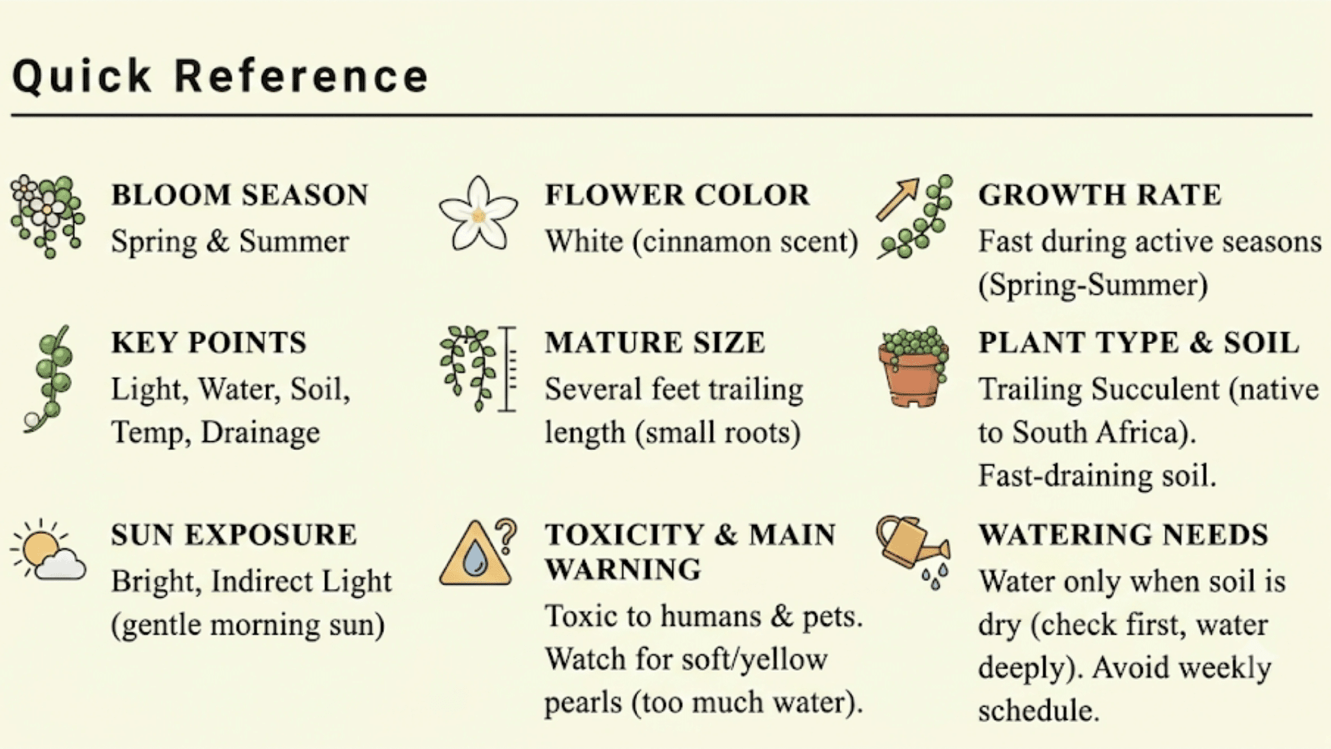 quick reference chart showing string of pearls bloom season flower color growth care sunlight watering and toxicity