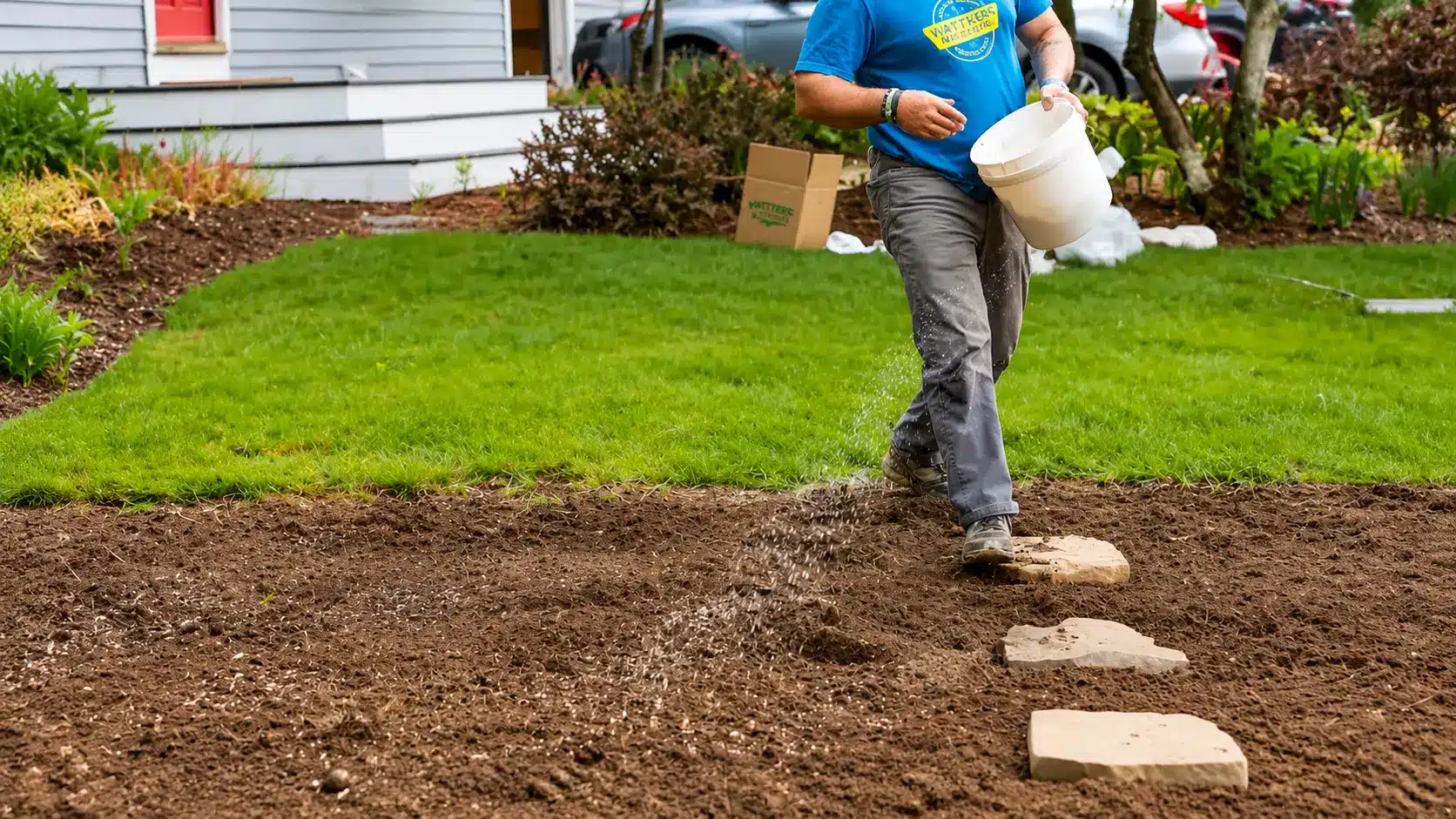Person scattering seeds from a bucket across prepared soil in a suburban garden bed with stepping stones