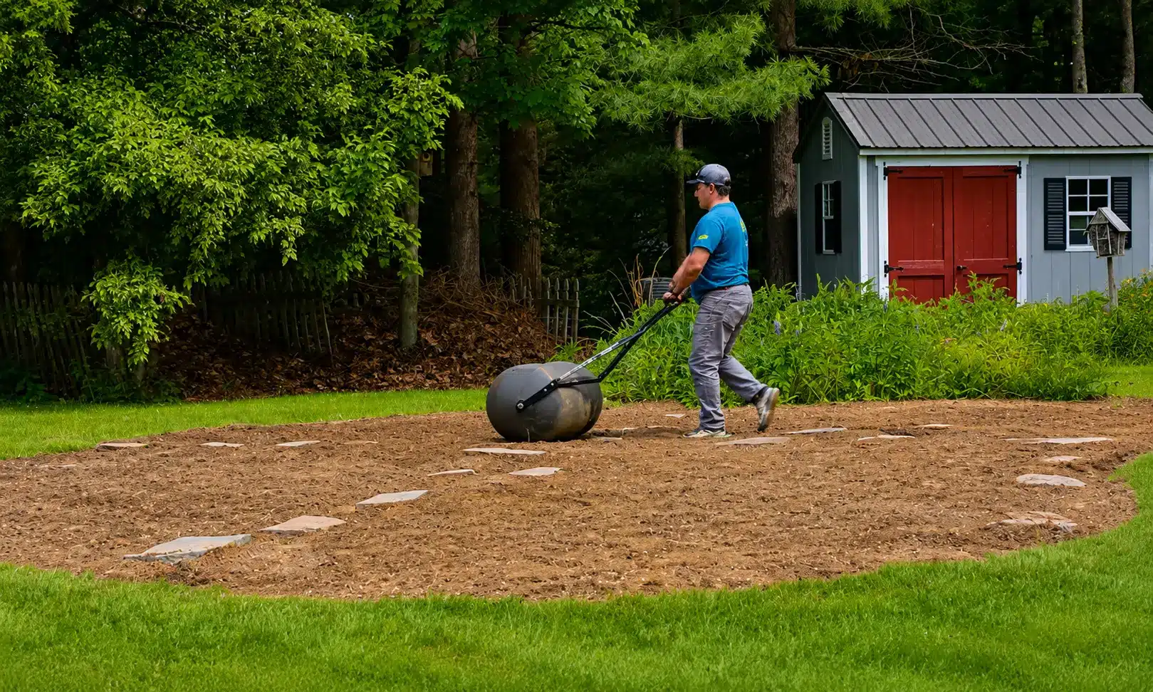Person rolling a prepared garden bed with a lawn roller beside a shed in a backyard landscape