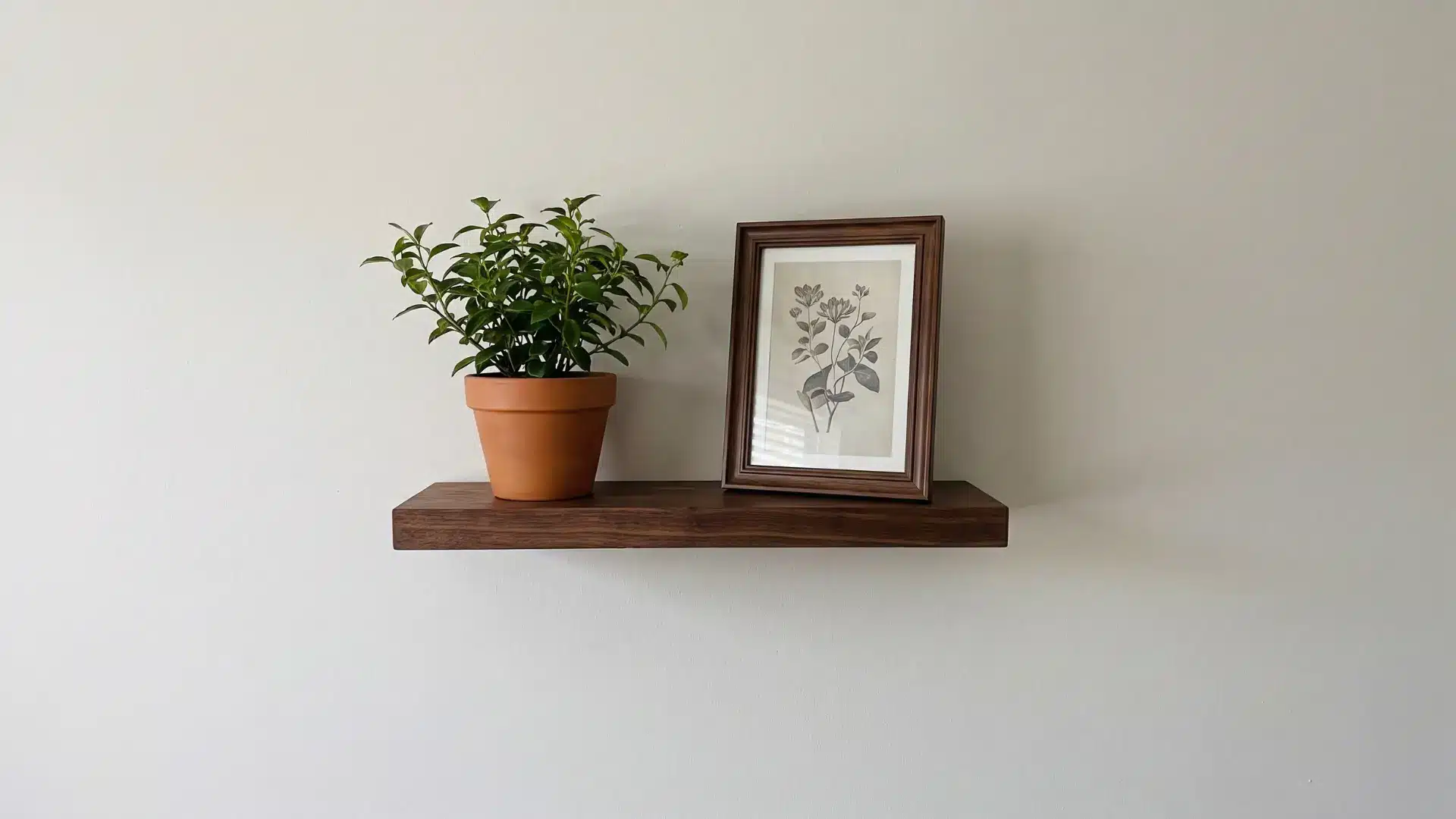Floating shelf holding one plant and one framed print