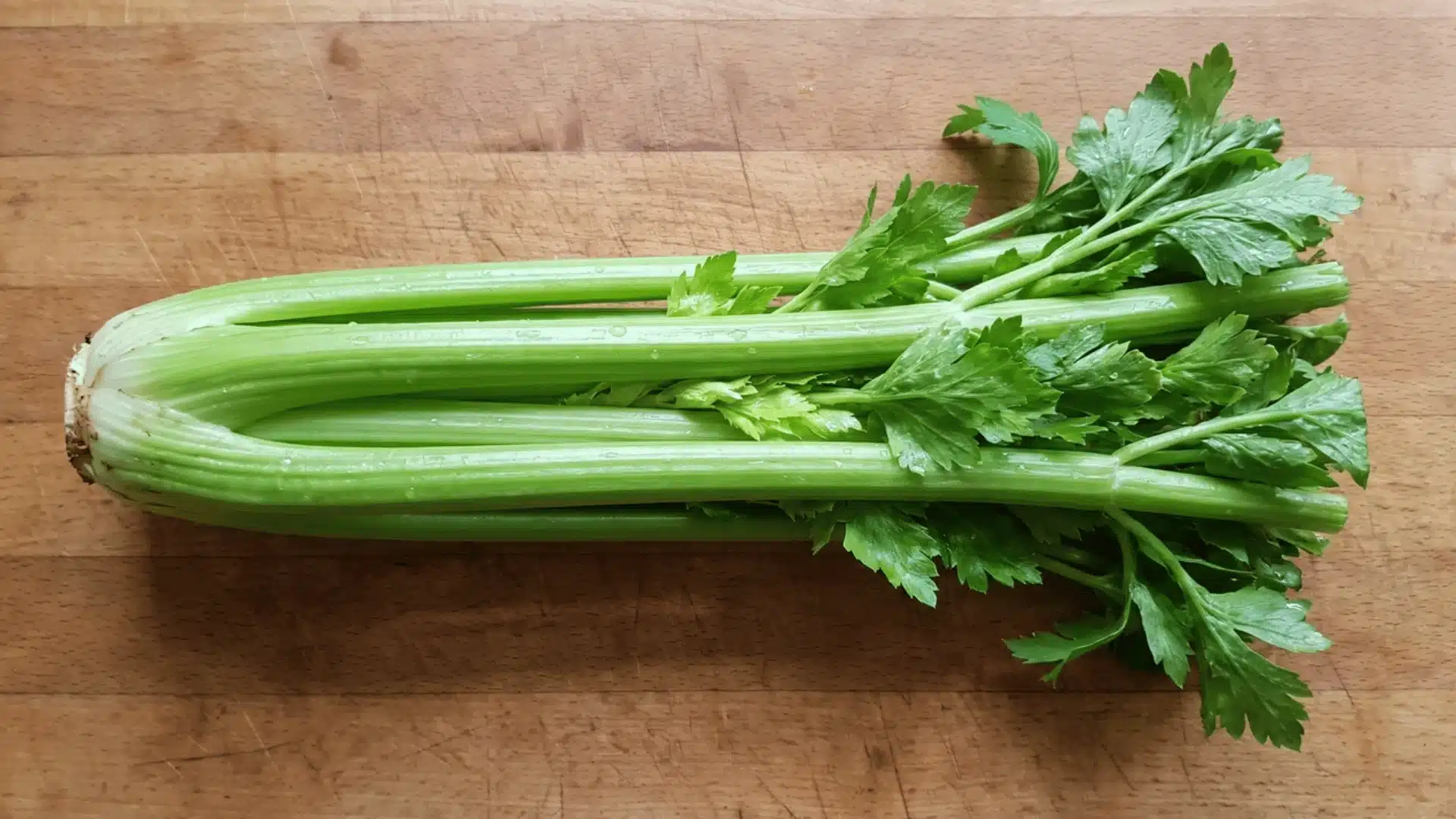 Whole harvested celery stalk cluster placed on a kitchen counter