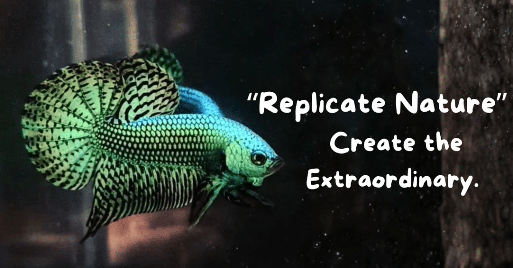 A Designer's Guide to Creating a Modern Betta Aquarium at Home